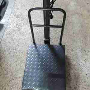 A12 Platform Scale 150kgs