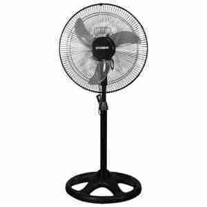 fan